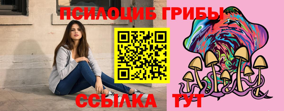Шали  Псилоцибиновые грибы прущие грибы  Вход с VPN 