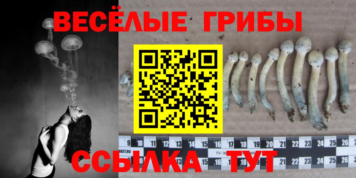 Псилоцибиновые грибы прущие грибы Шали