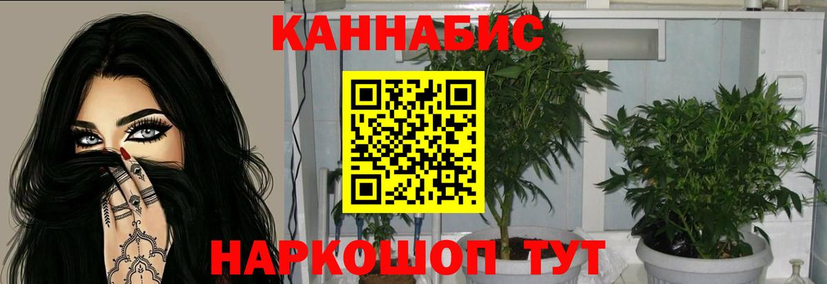 Шали  Канабис конопля  МАРИХУАНА ГИДРОПОН  Вход с VPN 